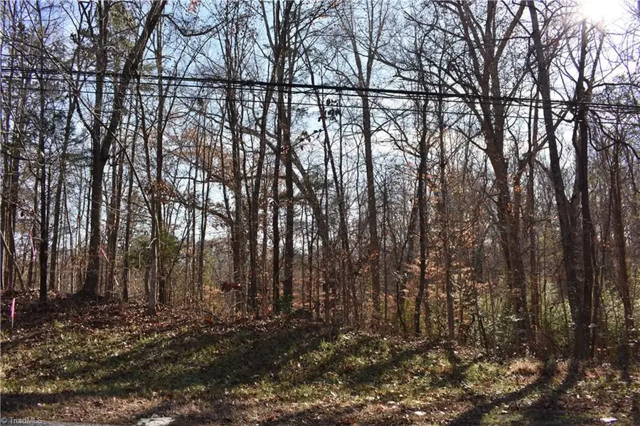 192 Young Drive #New Tract 1, Lexington, NC 27292 - #2