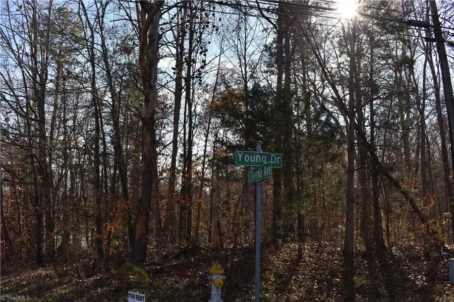 194 Young Drive #New Tract 2, Lexington, NC 27292 - #2