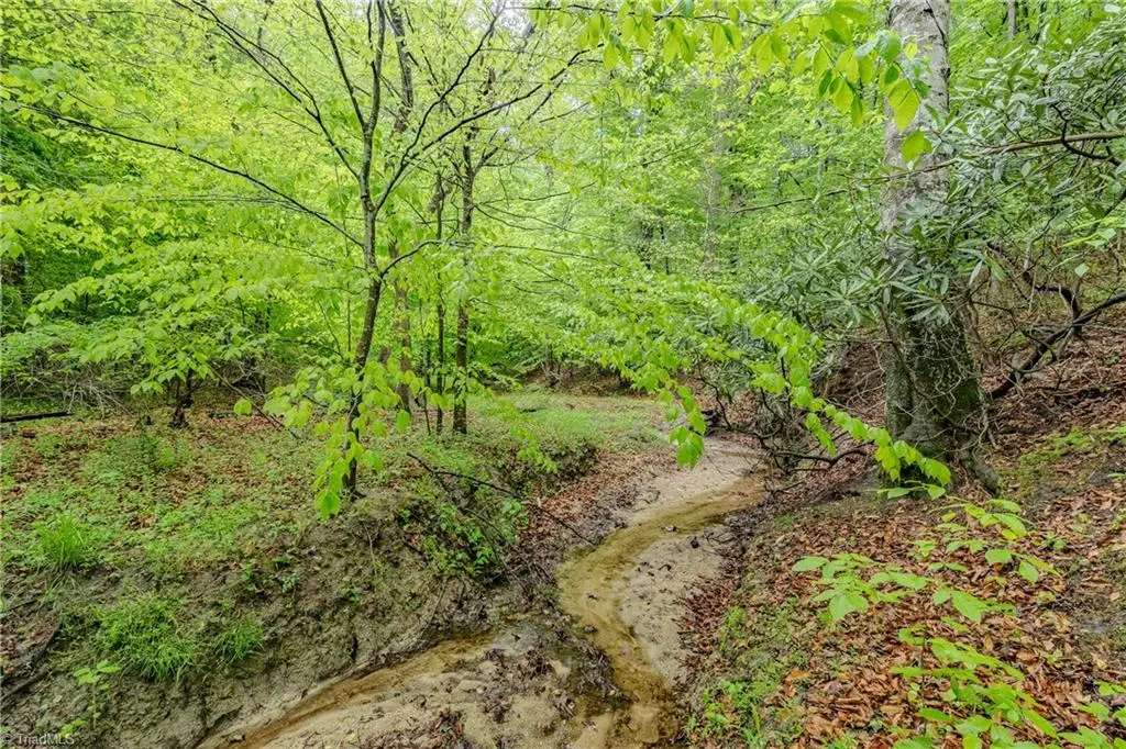 TBD Splendor Lane, Mount Airy, NC 27030 - #1