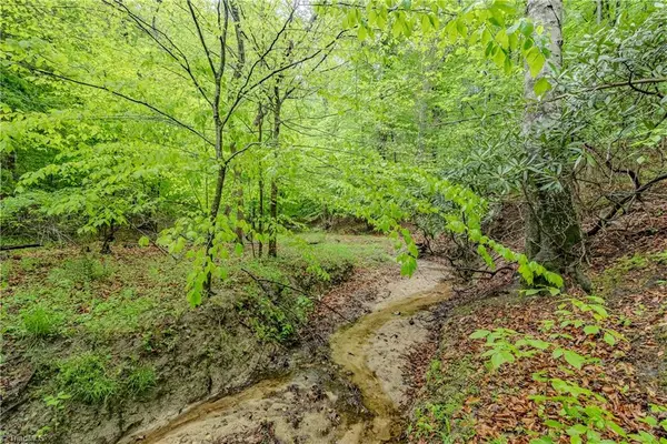 TBD Splendor Lane, Mount Airy, NC 27030