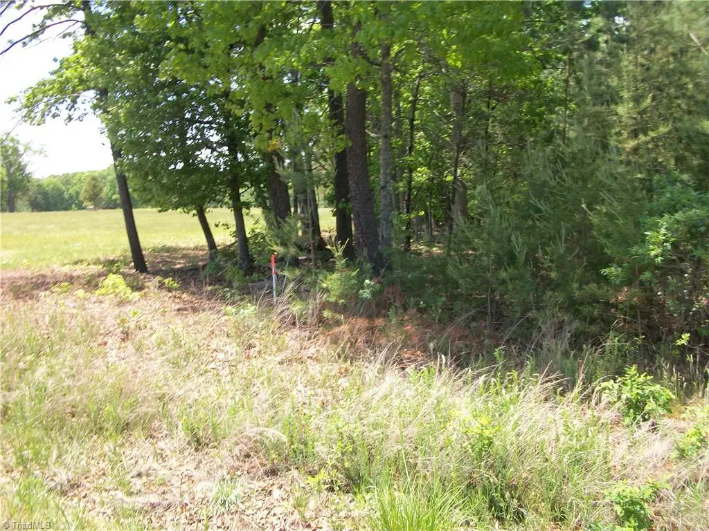 00 Floyd Road, Eden, NC 27288 - #1