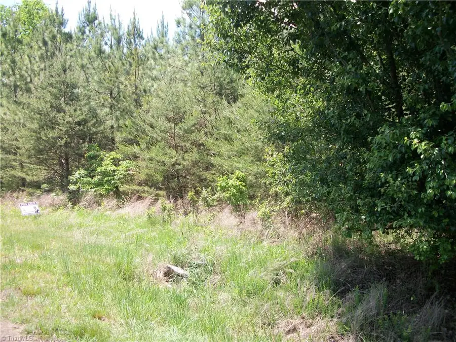 00 Floyd Road, Eden, NC 27288 - #3