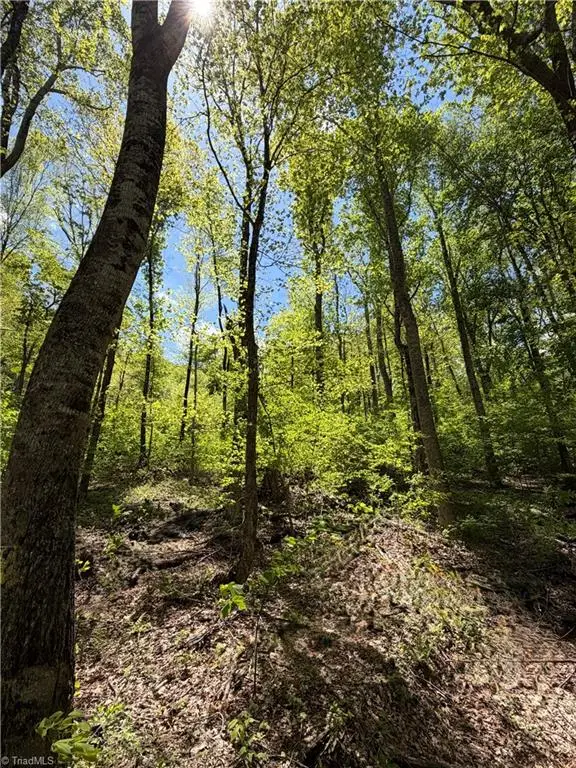 Lot#28 Bluff Ridge Road, West Jefferson, NC 28694