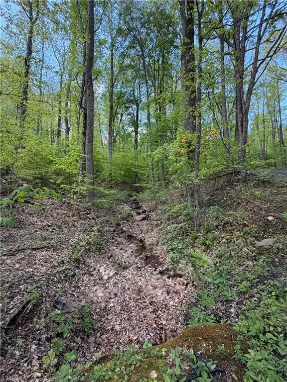 Lot#28 Bluff Ridge Road, West Jefferson, NC 28694 - #2
