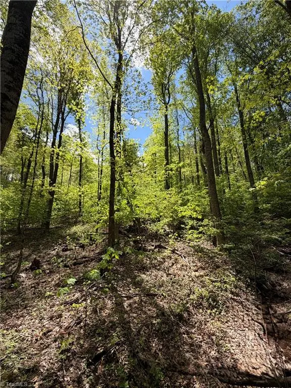 Lot#28 Bluff Ridge Road, West Jefferson, NC 28694 - #3
