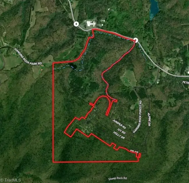 1344-1540 Nc Highway 89 W, Danbury, NC 27016 - #2