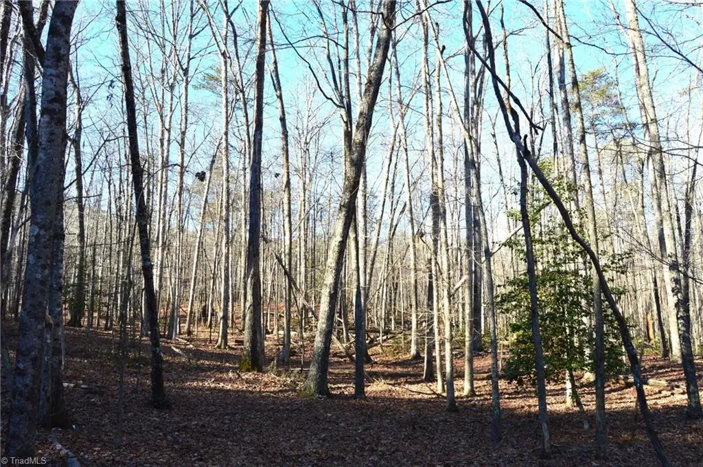 1010-1372 Hanging Rock Park Road, Danbury, NC 27016 - #1