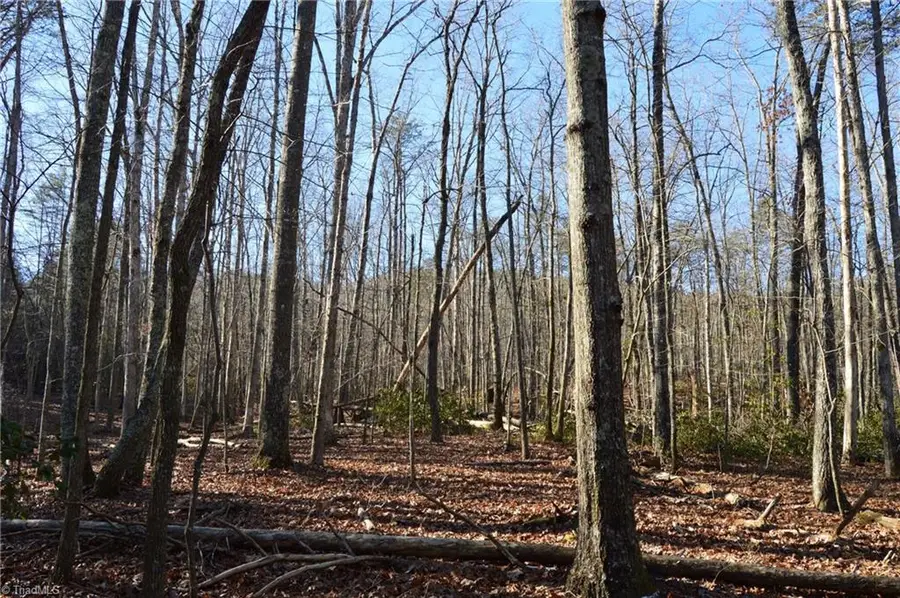 1010-1372 Hanging Rock Park Road, Danbury, NC 27016 - #2