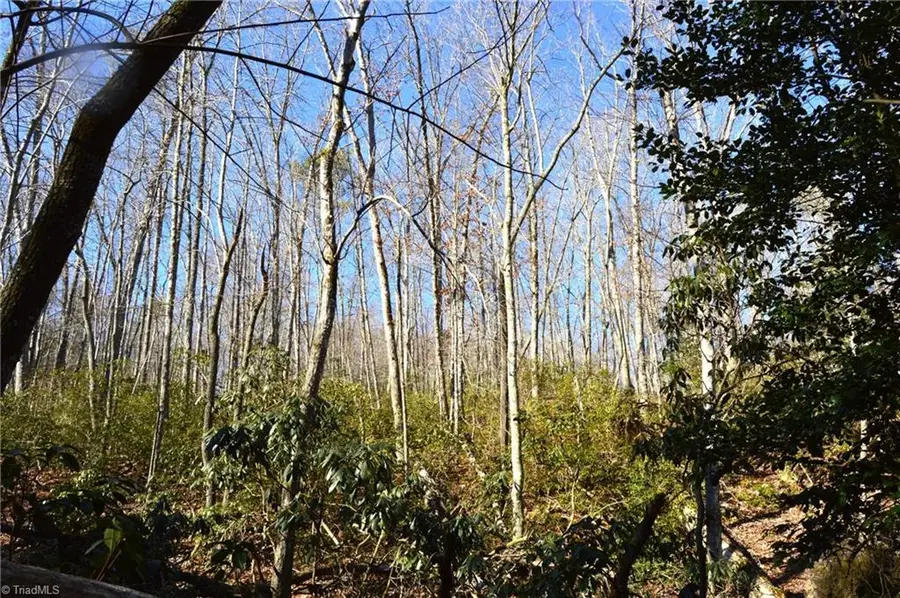 1010-1372 Hanging Rock Park Road, Danbury, NC 27016 - #3
