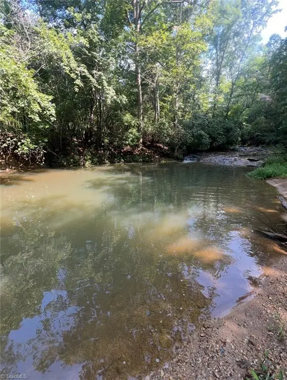 249 Gospel Time Way, Mount Airy, NC 27030 - #3