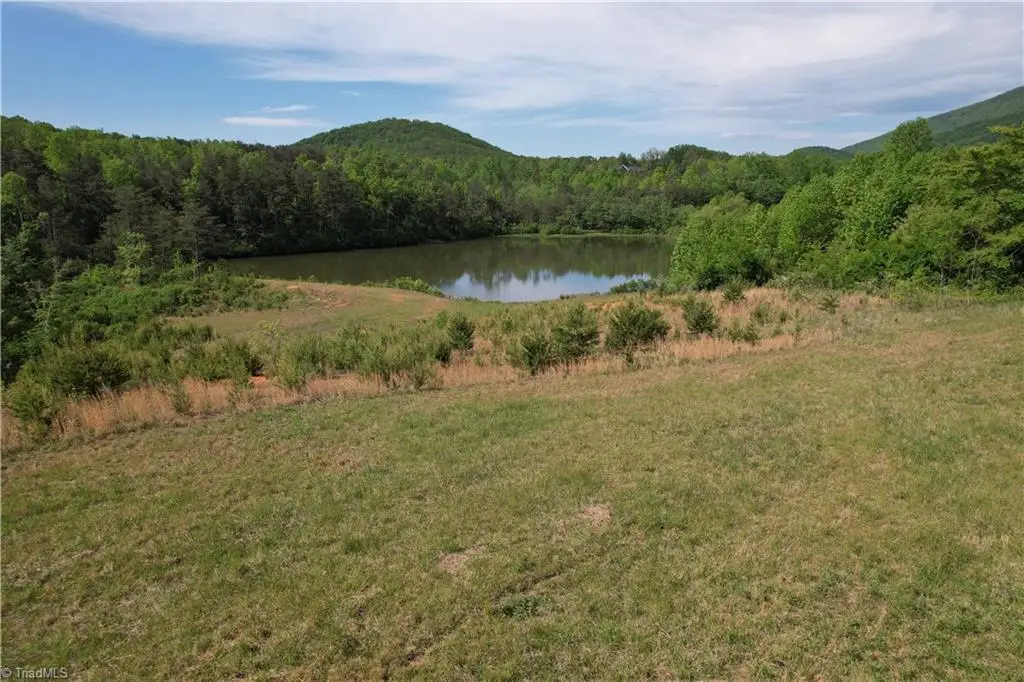 1155 Holly Grove Road, Lambsburg, VA 24351 - #1