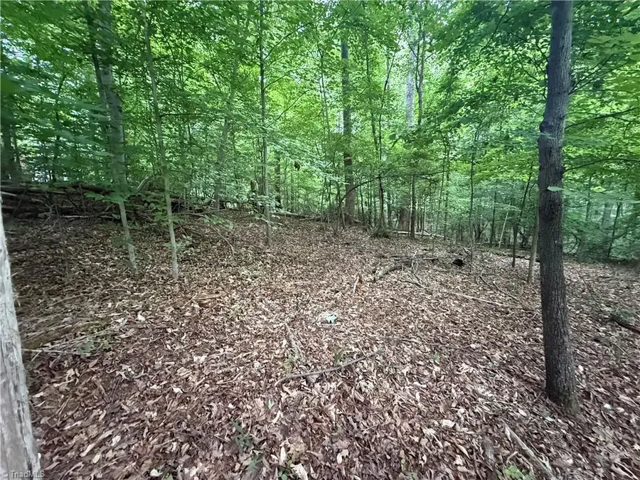 125 Stones Throw Court, Winston Salem, NC 27103 - #2