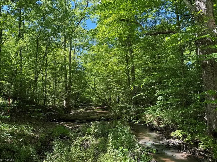 00 Sink Road, Lexington, NC 27295 - #3