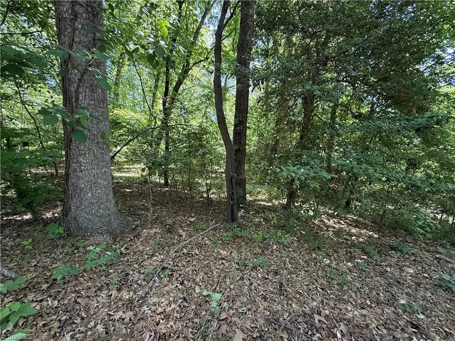 4446 Marion Drive, Terrell, NC 28682 - #2