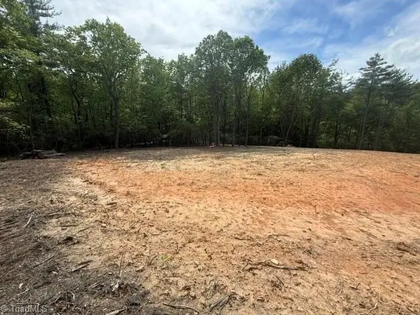 00 Chestnut Mountain Farms Parkway, McGrady, NC 28649