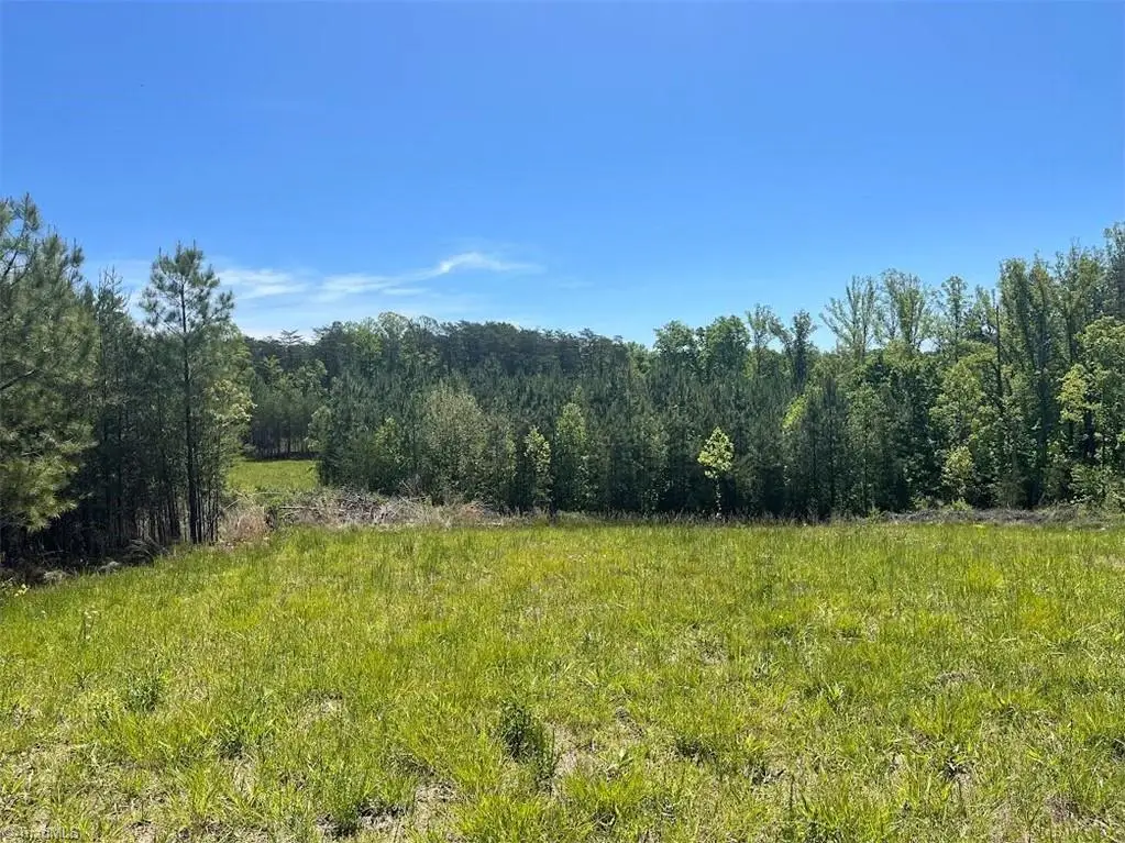 0 Palmer Road, Big Creek, NC 27053 - #1