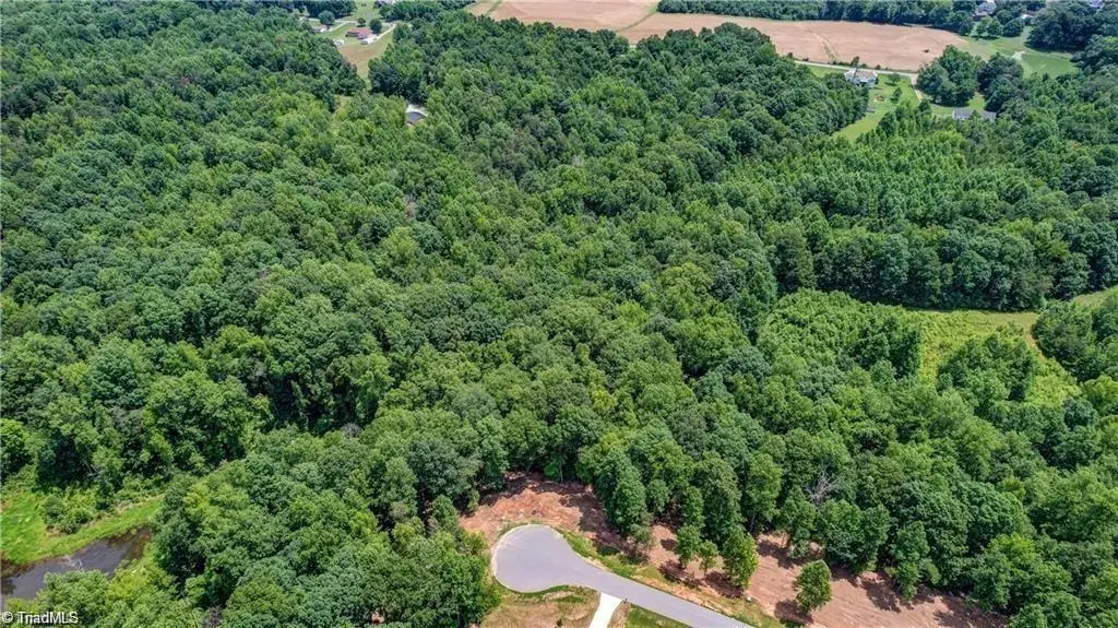 8434 Exmoor Trace, Browns Summit, NC 27214 - #1