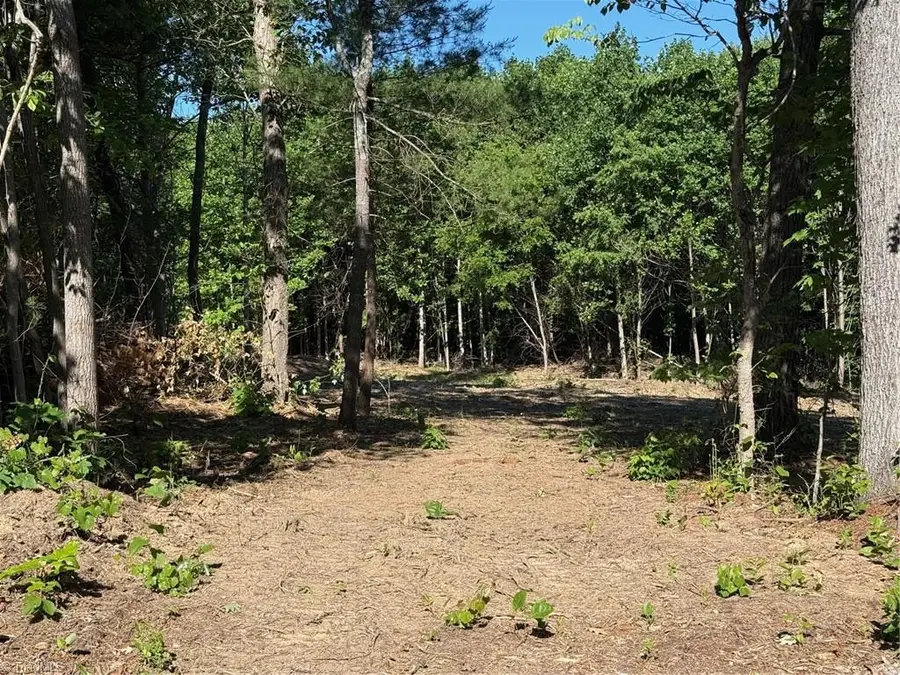 000 Parks Ridge Road, Wilkesboro, NC 28697 - #2