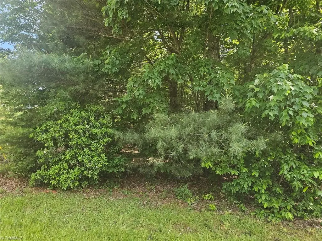 Lot 1 Ashland Lane, Wilkesboro, NC 28697 - #1