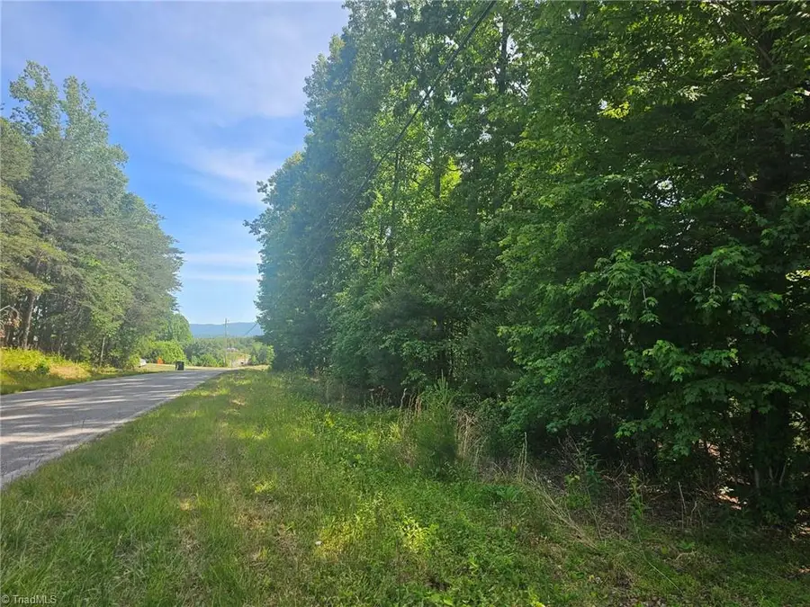 Lot 1 Ashland Lane, Wilkesboro, NC 28697 - #2