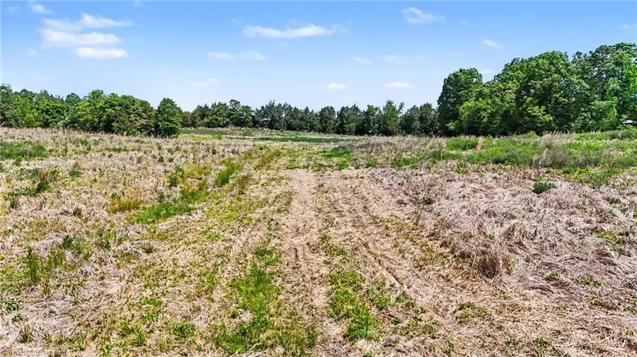 1832 Tysinger Road, Denton, NC 27239 - #3
