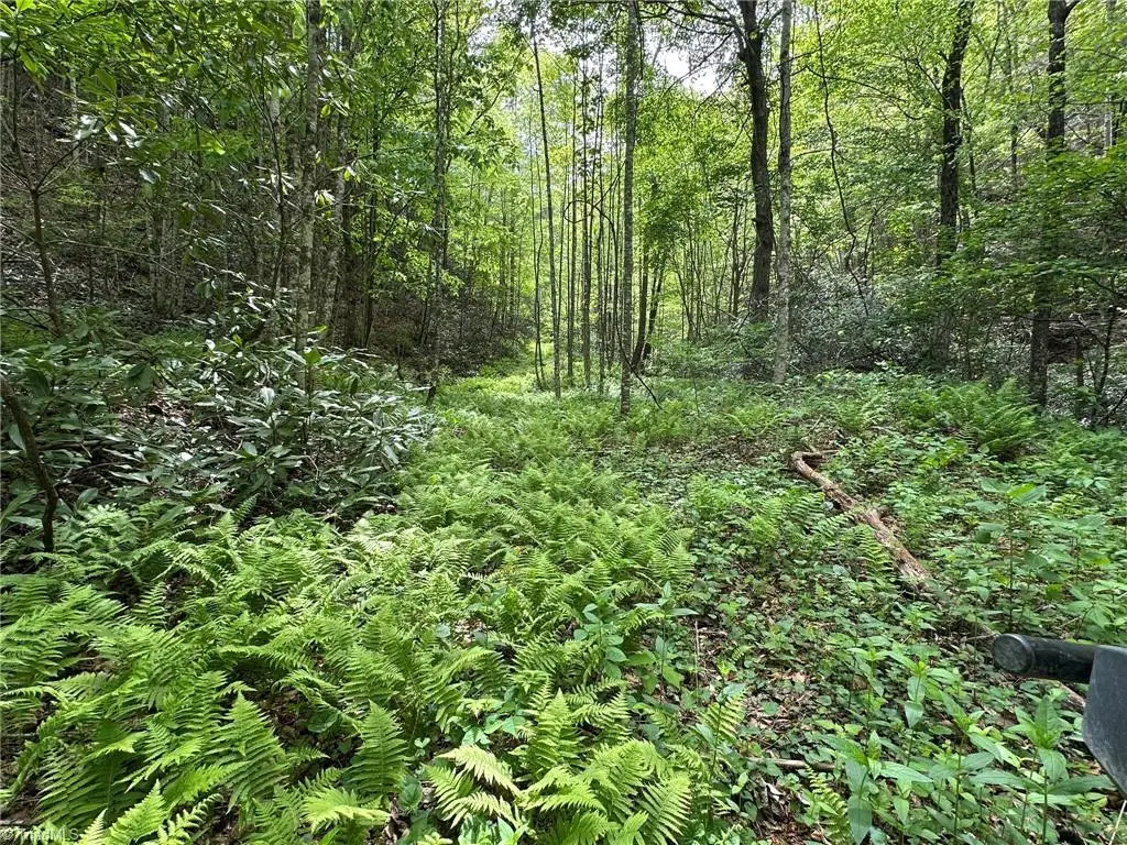 0000 N Old Nc Highway 16, Millers Creek, NC 28651 - #1