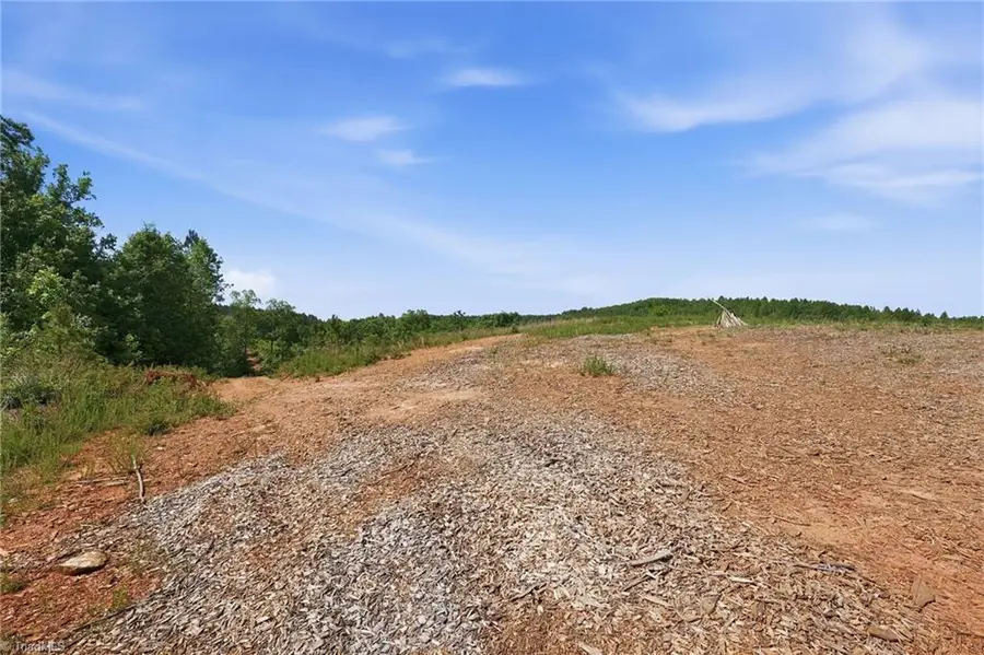 0 Lot #6 Skeen View Road, Asheboro, NC 27205 - #2