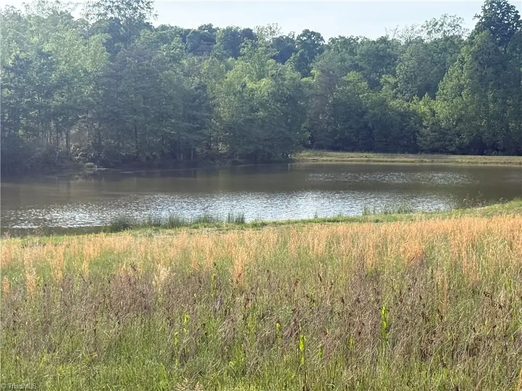 00 Amostown Road, Sandy Ridge, NC 27046 - #1