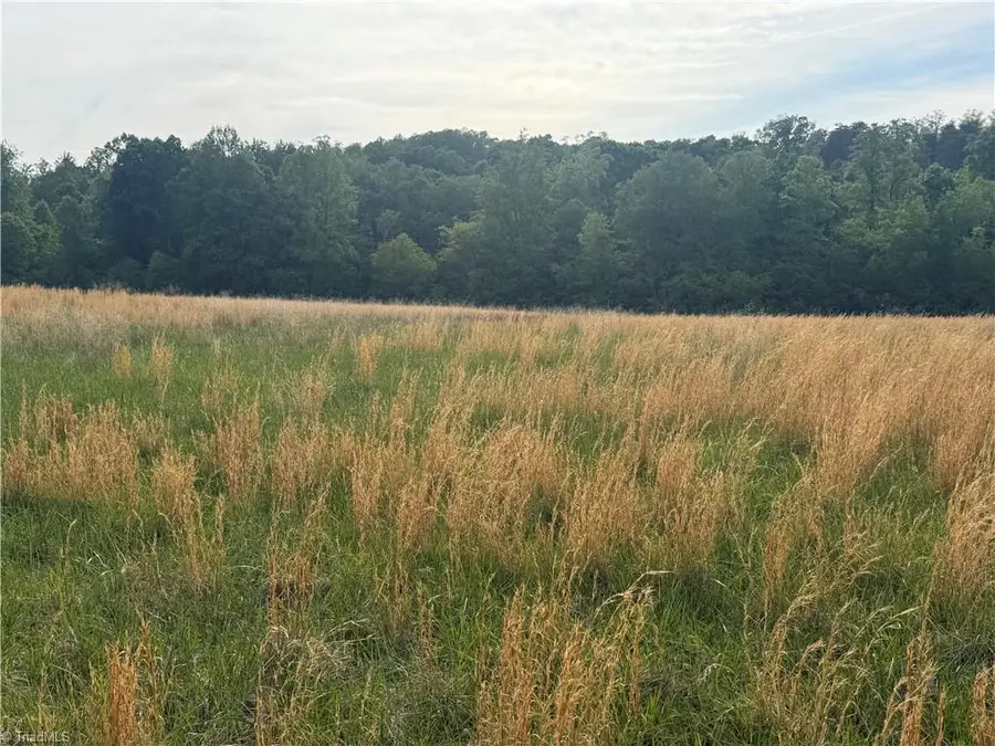 00 Amostown Road, Sandy Ridge, NC 27046 - #2