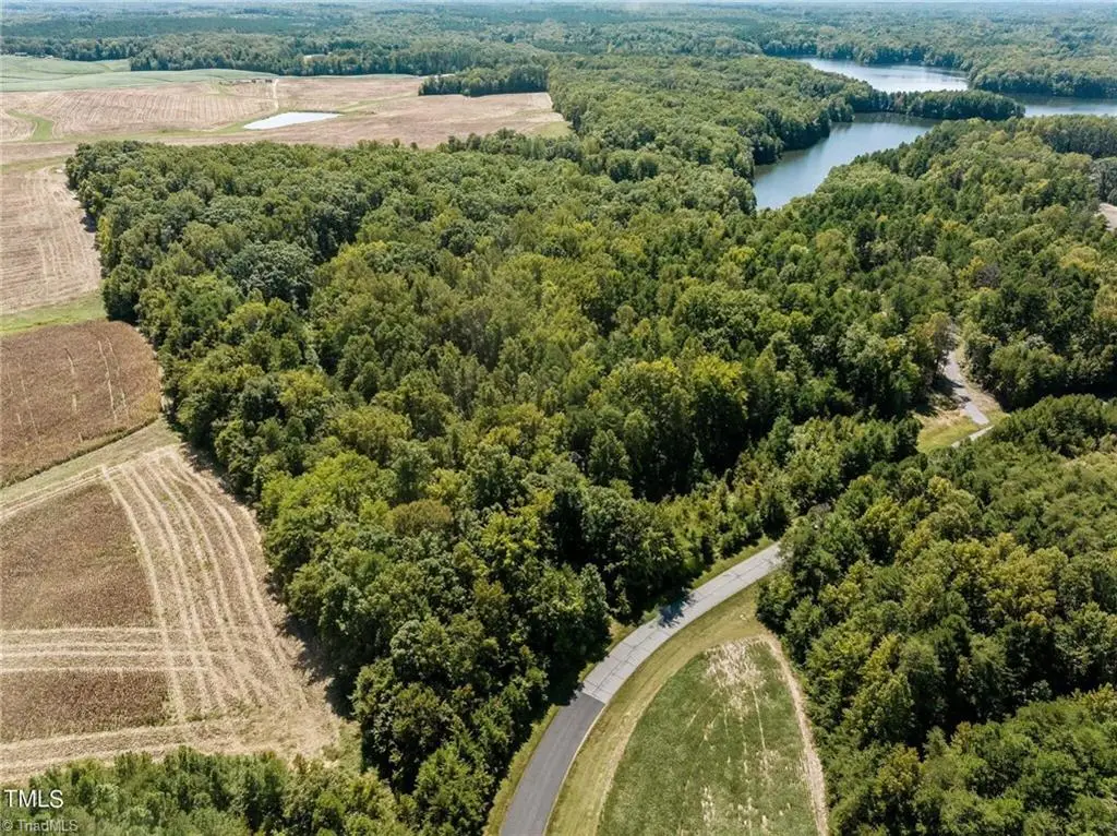 17.03 ac 0 New Mayo Drive, Roxboro, NC 27574 - #1