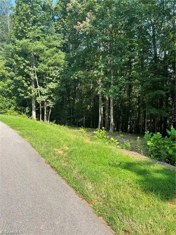 000 Burberry Lane, Purlear, NC 28665