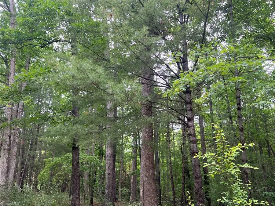 160 Oak Acres Lane, Mount Airy, NC 27030 - #2