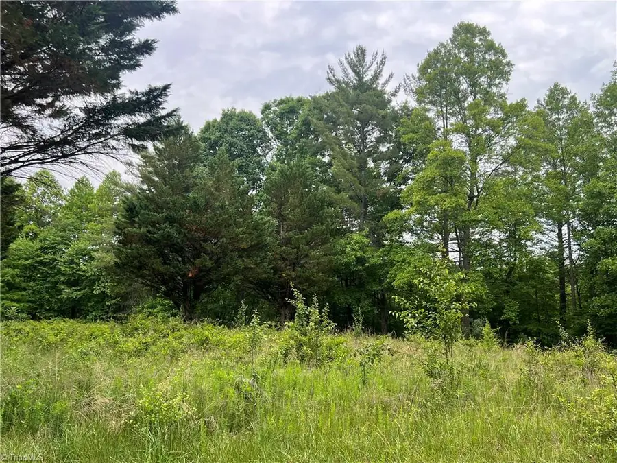 160 Oak Acres Lane, Mount Airy, NC 27030 - #3