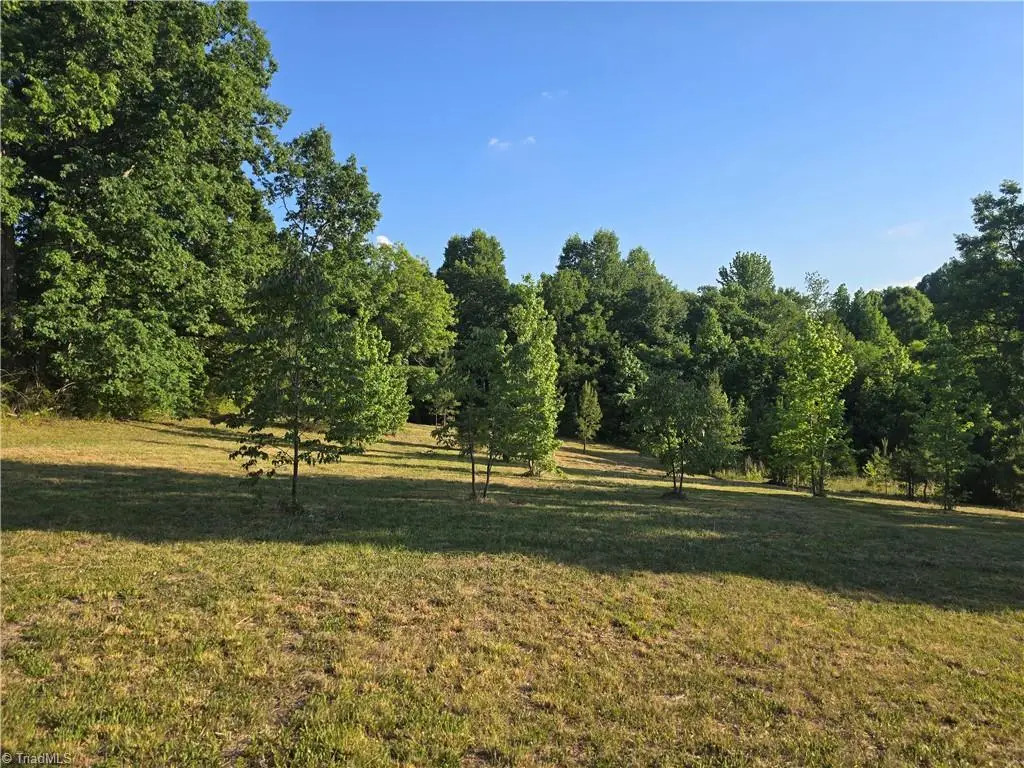 217 Cedar Ridge Road, Randleman, NC 27317 - #1