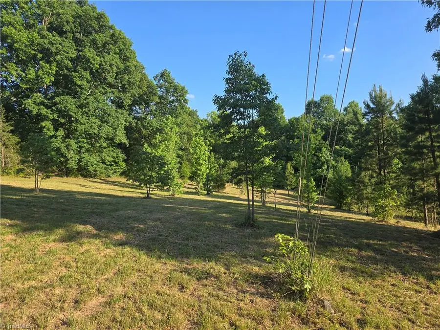 217 Cedar Ridge Road, Randleman, NC 27317 - #3