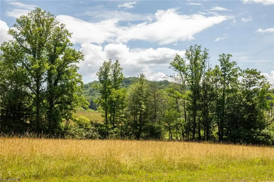 TBD Shingle Gap Road, Purlear, NC 28665 - #2