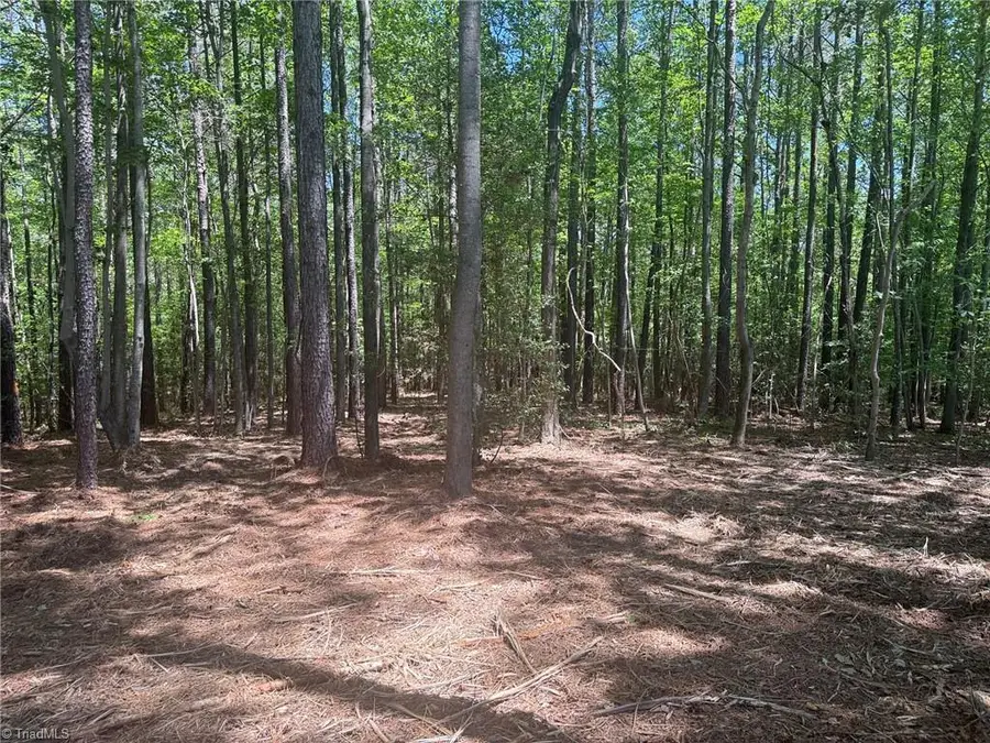 Lot 15 Willie Road, Seagrove, NC 27341 - #3