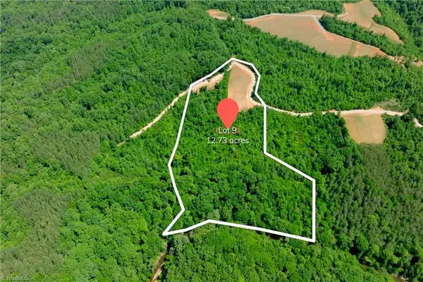 9 Roby Fulk Road, Pinnacle, NC 27043