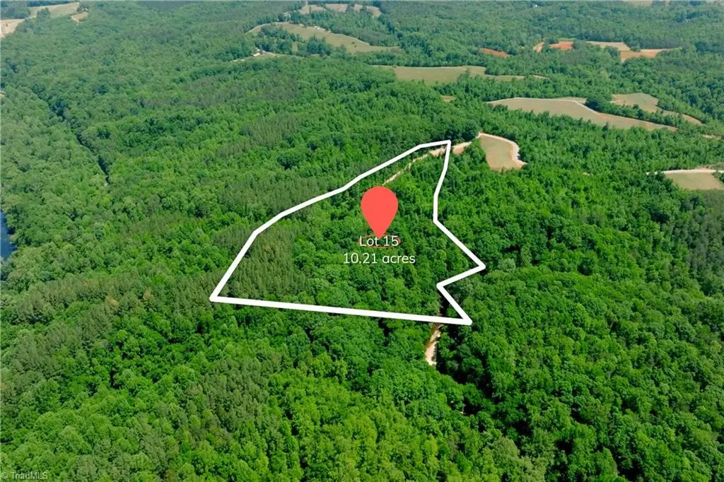 15 Roby Fulk Road, Pinnacle, NC 27043 - #1