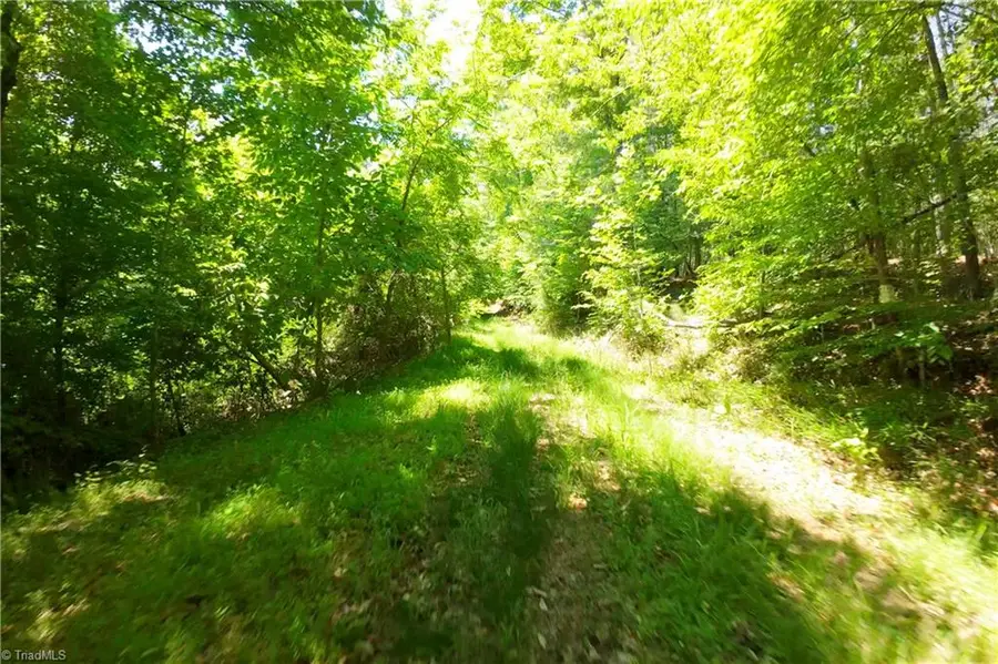 15 Roby Fulk Road, Pinnacle, NC 27043 - #2