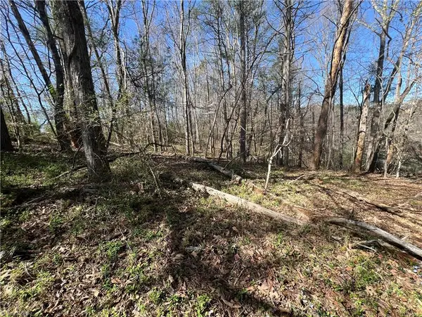 0 Shepherds Farm Road, North Wilkesboro, NC 28659