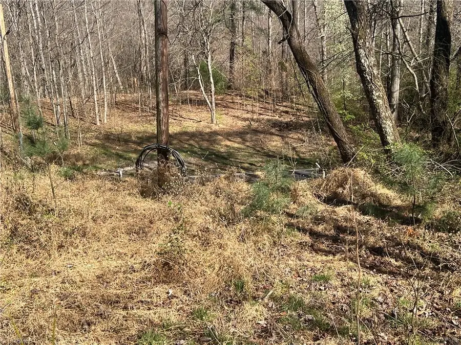 0 Shepherds Farm Road, North Wilkesboro, NC 28659 - #2