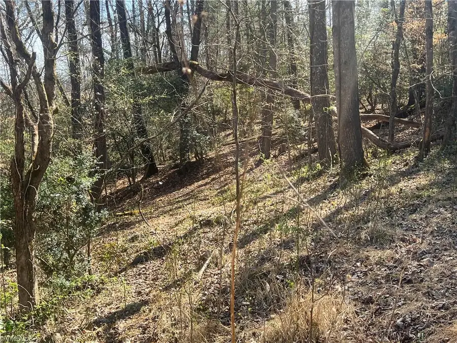 0 Shepherds Farm Road, North Wilkesboro, NC 28659 - #3