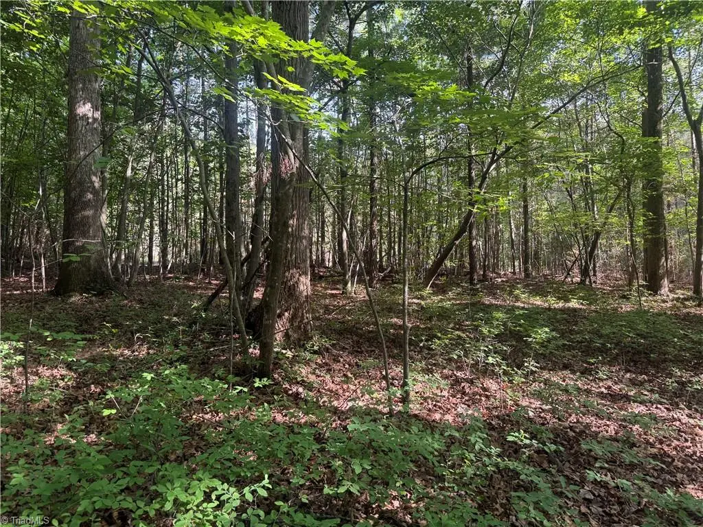 Tract 2 Dover Church Road, Seagrove, NC 27341 - #1