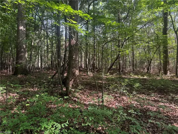Tract 2 Dover Church Road, Seagrove, NC 27341