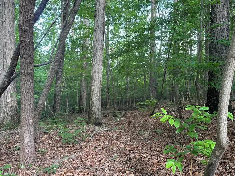 Tract 2 Dover Church Road, Seagrove, NC 27341 - #2