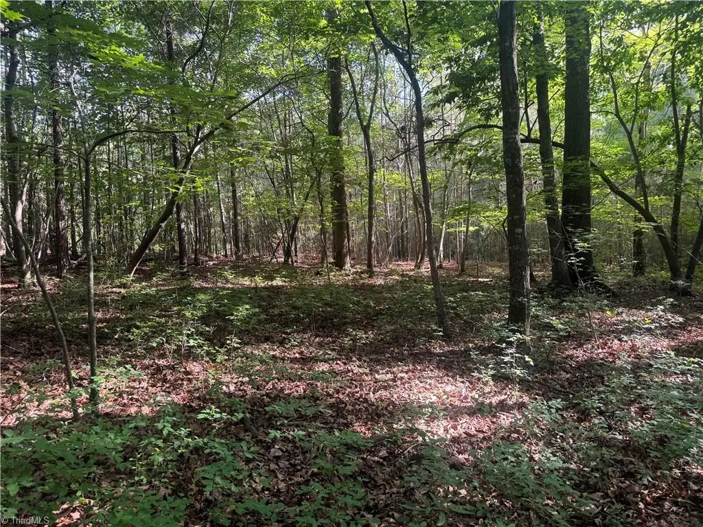 Tract 3 Dover Church Road, Seagrove, NC 27341 - #1