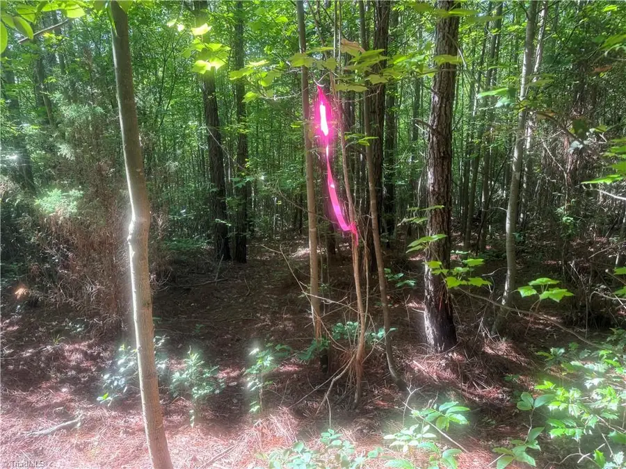 Tract 3 Dover Church Road, Seagrove, NC 27341 - #2