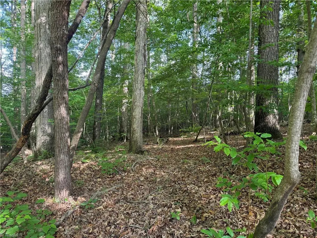 Tract 4 Dover Church Road, Seagrove, NC 27341 - #1