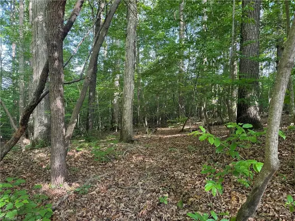 Tract 4 Dover Church Road, Seagrove, NC 27341